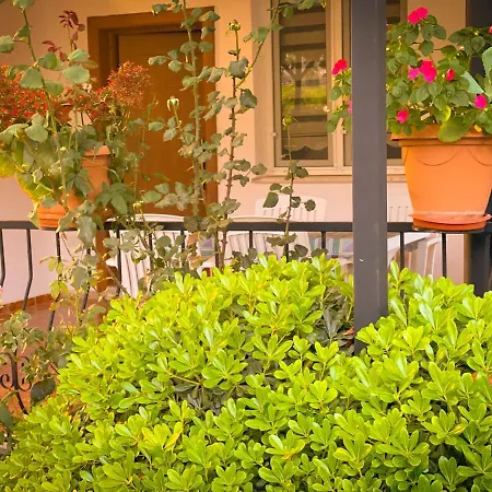 Lumos Homes Boutique Apart Tatil Evi Buca